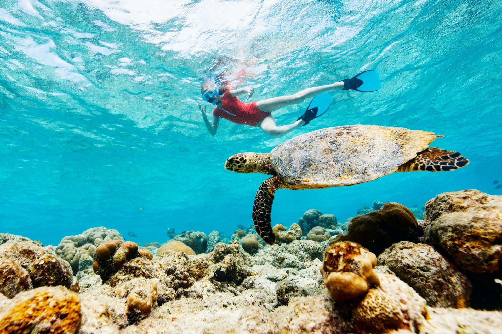 Blog - Champion Snorkeling Tours San Juan