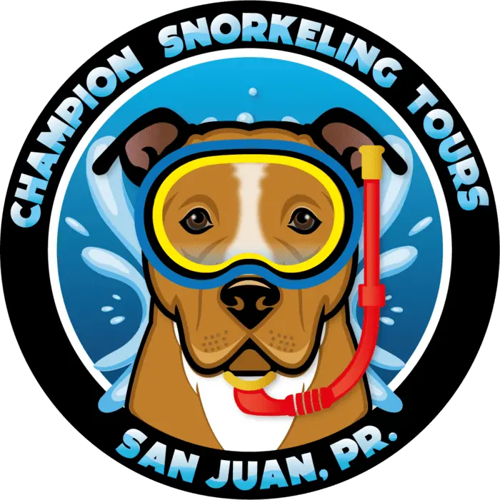 Champion Snorkeling Tours San Juan
