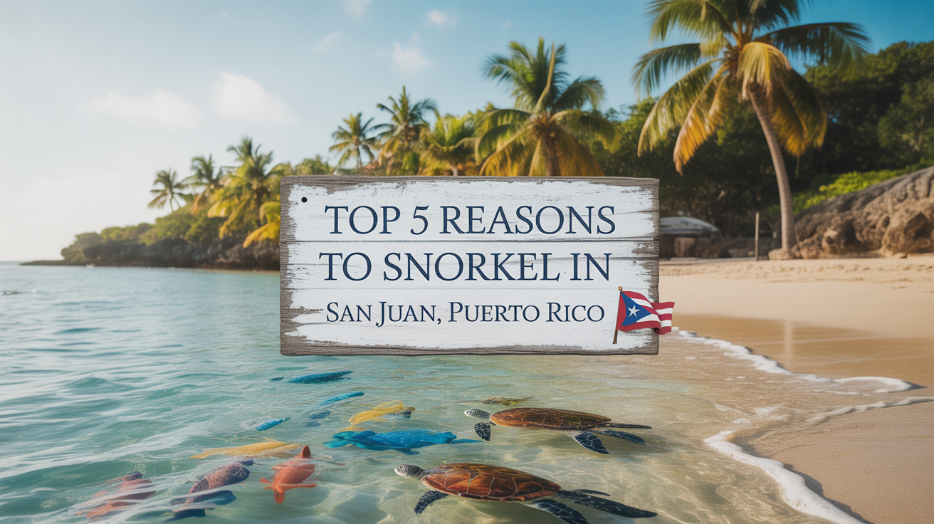 Read more about the article Top 5 Reasons to Snorkel in San Juan, Puerto Rico